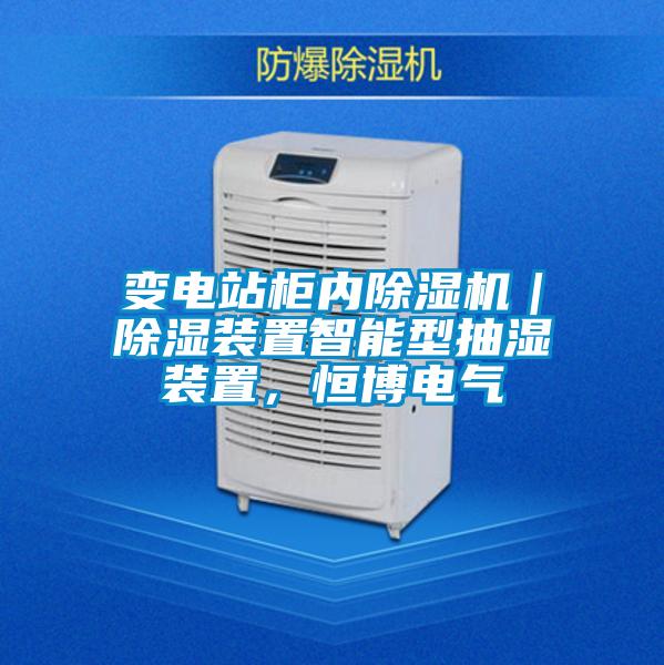 變電站柜內(nèi)除濕機｜除濕裝置智能型抽濕裝置，恒博電氣