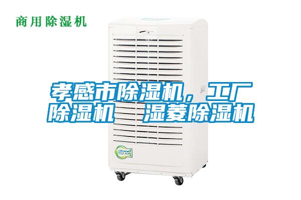 孝感市除濕機，工廠除濕機  濕菱除濕機