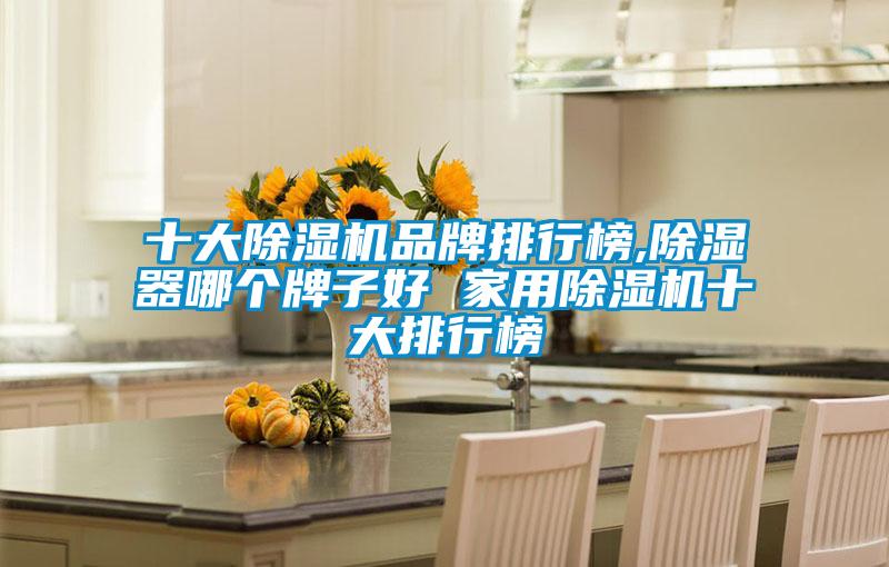 十大除濕機品牌排行榜,除濕器哪個牌子好 家用除濕機十大排行榜