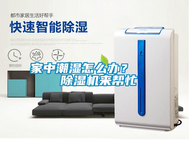 家中潮濕怎么辦? 除濕機(jī)來幫忙