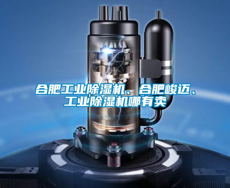 合肥工業(yè)除濕機、合肥峻邁、工業(yè)除濕機哪有賣