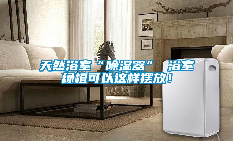 天然浴室“除濕器” 浴室綠植可以這樣擺放！