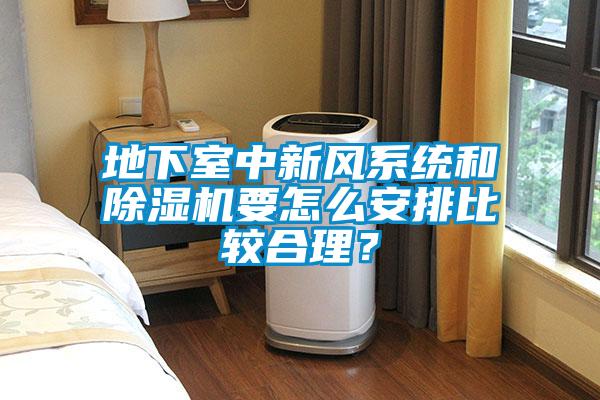 地下室中新風(fēng)系統(tǒng)和除濕機要怎么安排比較合理?