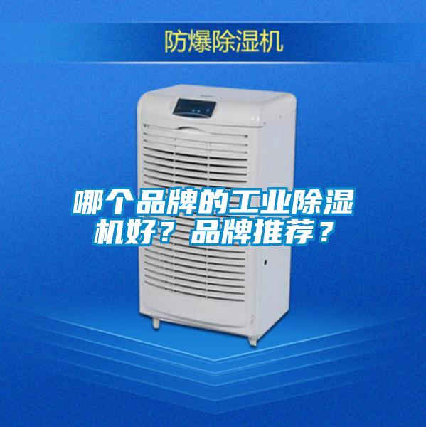 哪個品牌的工業(yè)除濕機(jī)好?品牌推薦?