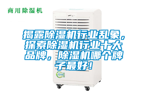 揭露除濕機行業亂象，探索除濕機行業十大品牌，除濕機哪個牌子最好！