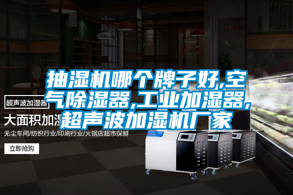 抽濕機哪個牌子好,空氣除濕器,工業加濕器,超聲波加濕機廠家
