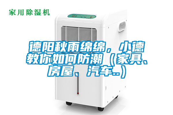德陽秋雨綿綿，小德教你如何防潮（家具、房屋、汽車..）