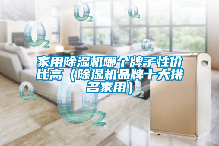 家用除濕機哪個牌子性價比高(除濕機品牌十大排名家用)