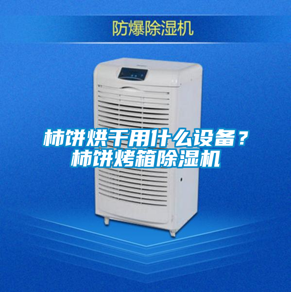 柿餅烘干用什么設備？柿餅烤箱除濕機