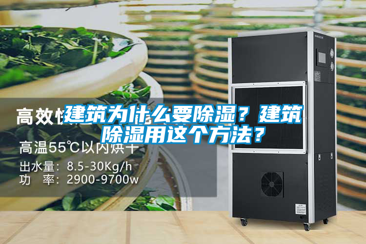 建筑為什么要除濕？建筑除濕用這個方法？