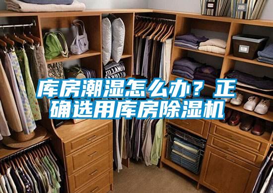 庫房潮濕怎么辦?正確選用庫房除濕機