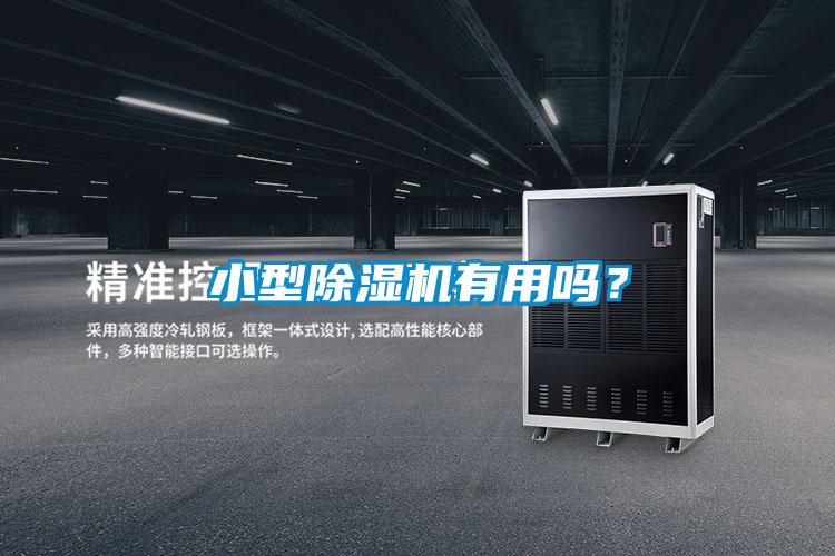 小型除濕機有用嗎?