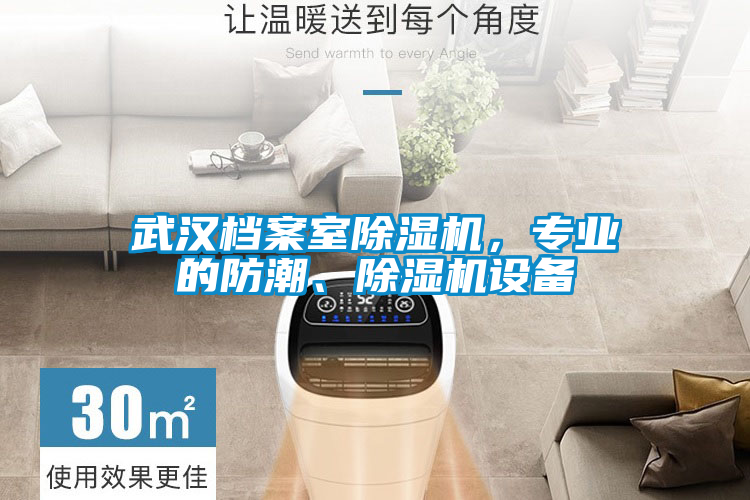 武漢檔案室除濕機，專業的防潮、除濕機設備