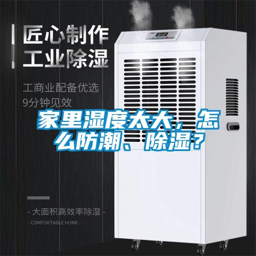 家里濕度太大,怎么防潮、除濕?