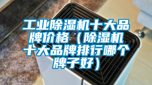 工業(yè)除濕機(jī)十大品牌價格（除濕機(jī)十大品牌排行哪個牌子好）