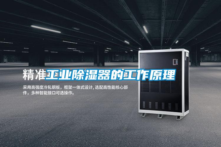 工業除濕器的工作原理