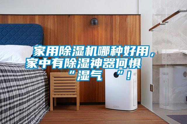 家用除濕機哪種好用，家中有除濕神器何懼 “濕氣 “！