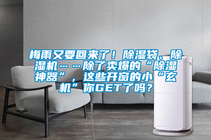 梅雨又要回來了！除濕袋、除濕機……除了賣爆的“除濕神器”，這些開窗的小“玄機”你GET了嗎？