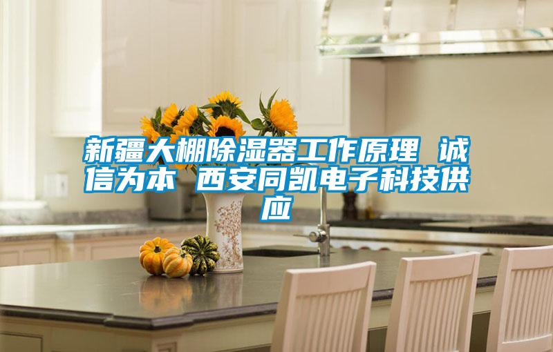 新疆大棚除濕器工作原理 誠信為本 西安同凱電子科技供應