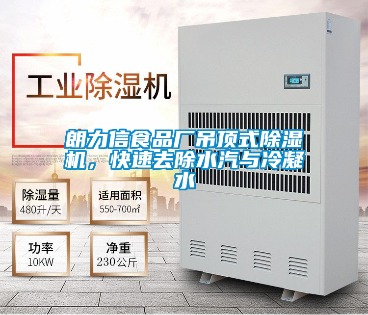 朗力信食品廠吊頂式除濕機,快速去除水汽與冷凝水