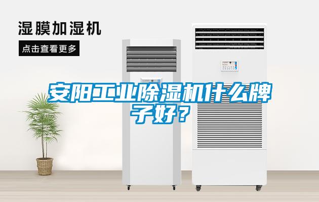 安陽工業除濕機什么牌子好？