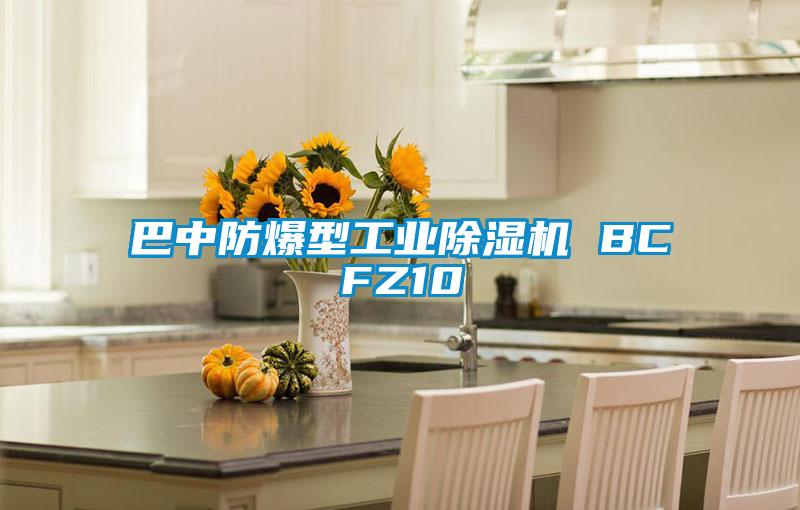 巴中防爆型工業除濕機 BCFZ10