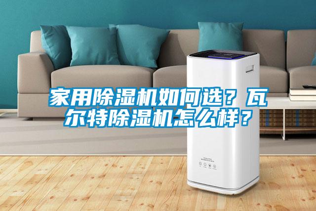 家用除濕機如何選？瓦爾特除濕機怎么樣？