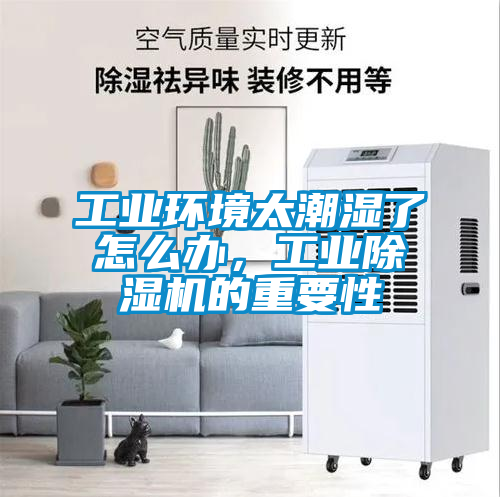 工業環境太潮濕了怎么辦，工業除濕機的重要性