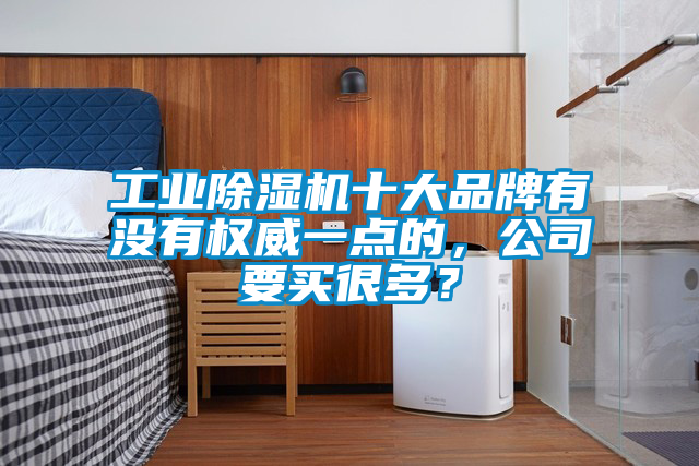 工業除濕機十大品牌有沒有權威一點的，公司要買很多？
