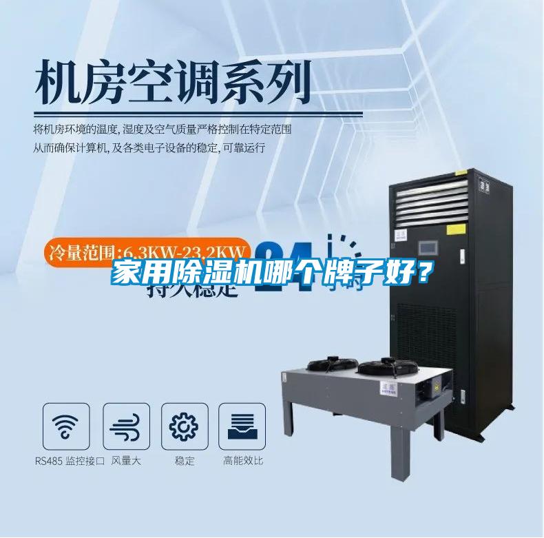 家用除濕機(jī)哪個牌子好?