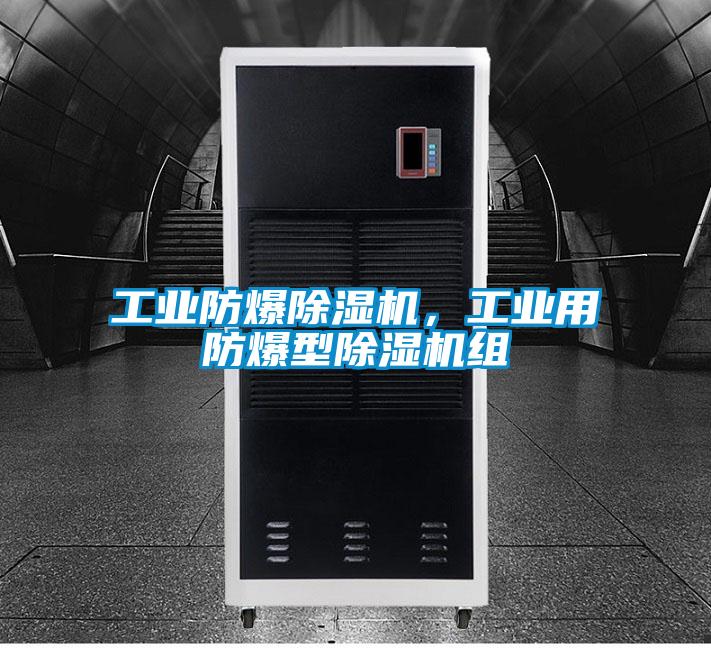 工業防爆除濕機,工業用防爆型除濕機組