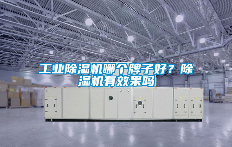 工業除濕機哪個牌子好？除濕機有效果嗎