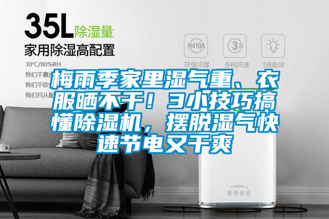 梅雨季家里濕氣重、衣服曬不干!3小技巧搞懂除濕機,擺脫濕氣快速節(jié)電又干爽
