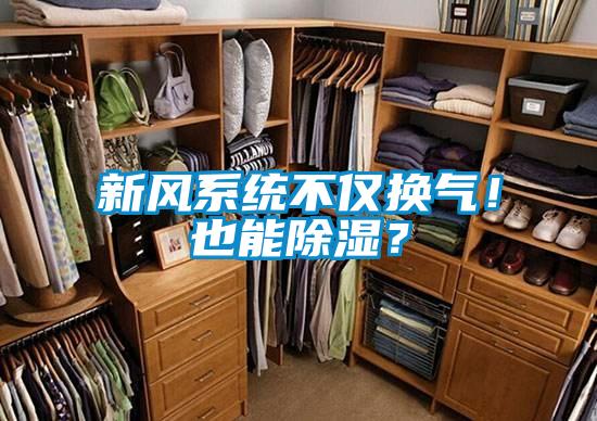新風系統不僅換氣！也能除濕？