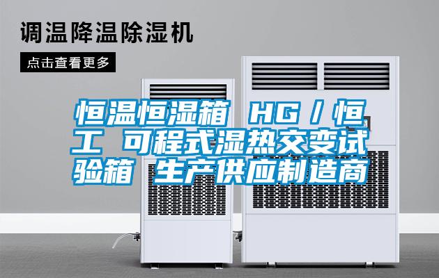 恒溫恒濕箱 HG／恒工 可程式濕熱交變試驗箱 生產供應制造商
