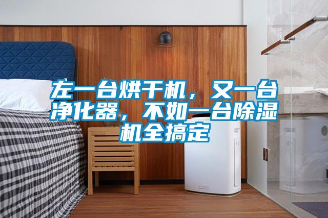 左一臺烘干機，又一臺凈化器，不如一臺除濕機全搞定