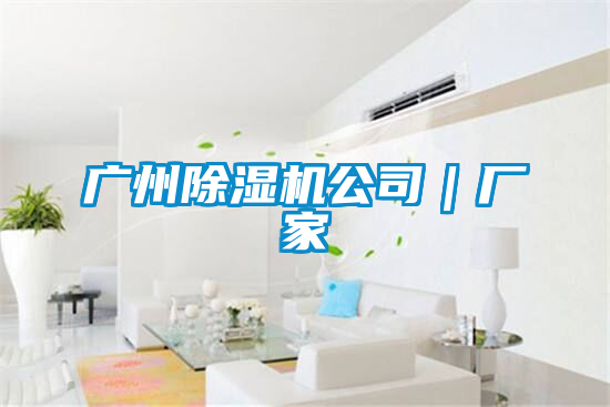 廣州除濕機公司|廠家