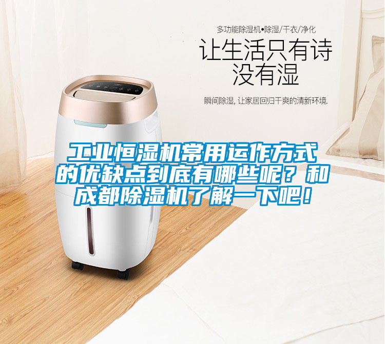 工業恒濕機常用運作方式的優缺點到底有哪些呢？和成都除濕機了解一下吧！