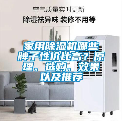 家用除濕機(jī)哪些牌子性價(jià)比高?原理、選購(gòu)、效果以及推薦