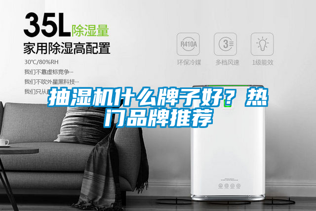 抽濕機什么牌子好?熱門品牌推薦