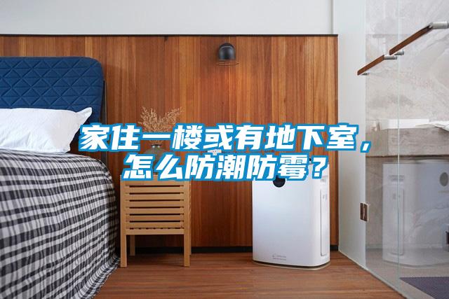 家住一樓或有地下室,怎么防潮防霉?
