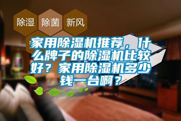 家用除濕機推薦，什么牌子的除濕機比較好？家用除濕機多少錢一臺啊？