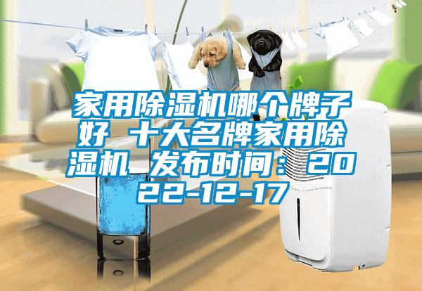 家用除濕機哪個牌子好 十大名牌家用除濕機 發布時間：2022-12-17
