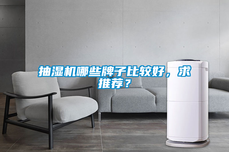 抽濕機哪些牌子比較好,求推薦?