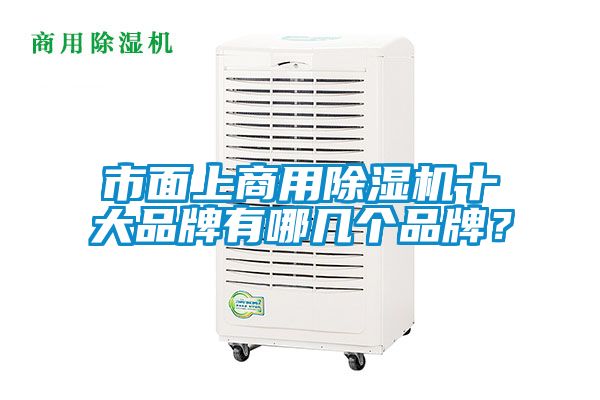 市面上商用除濕機(jī)十大品牌有哪幾個(gè)品牌?