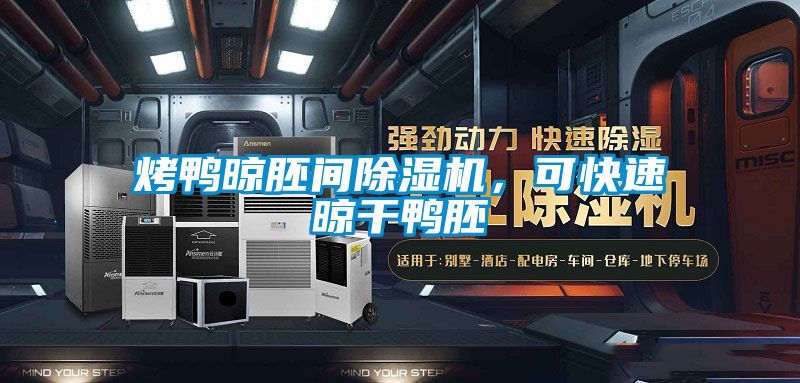 烤鴨晾胚間除濕機，可快速晾干鴨胚