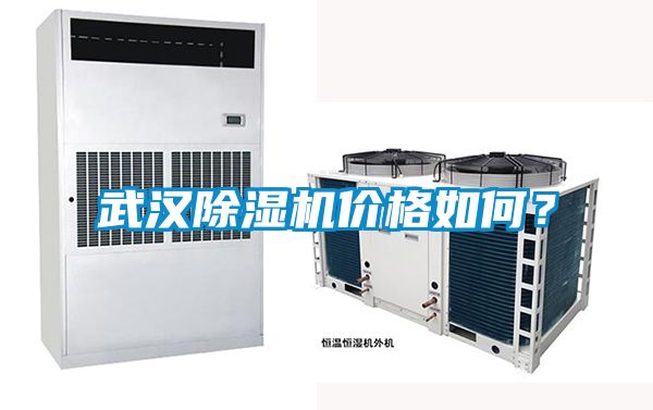 武漢除濕機價格如何？
