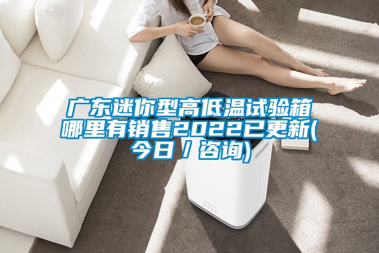 廣東迷你型高低溫試驗箱哪里有銷售2022已更新(今日/咨詢)