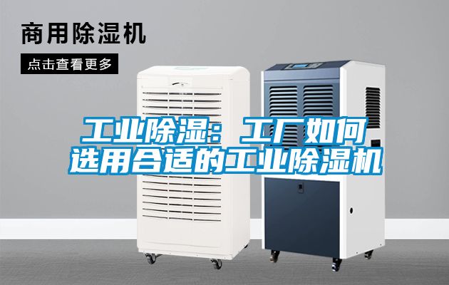 工業除濕：工廠如何選用合適的工業除濕機