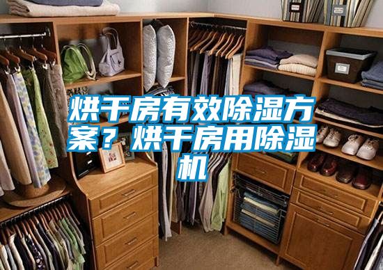 烘干房有效除濕方案？烘干房用除濕機